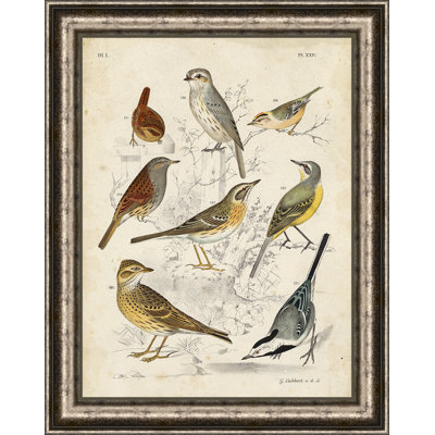 " Gathering Of Birds I "