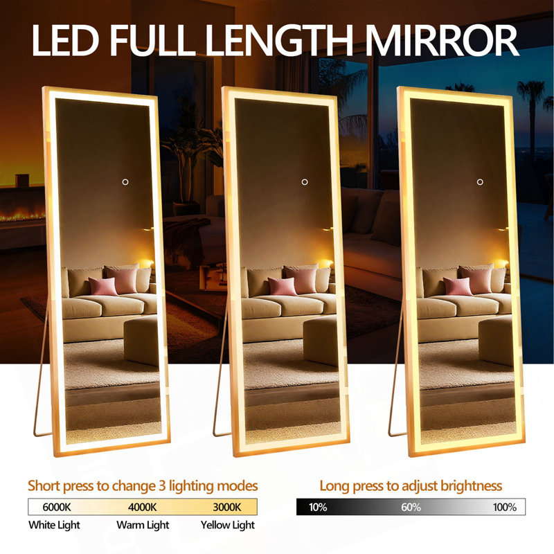 Full Length Mirror With Lights, Full Body Dressing Standing, Hanging Mounted Mirror For Living Room Bedroom Cloakroom, Black