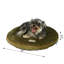 Lit rond / ovale pour chat-6347895