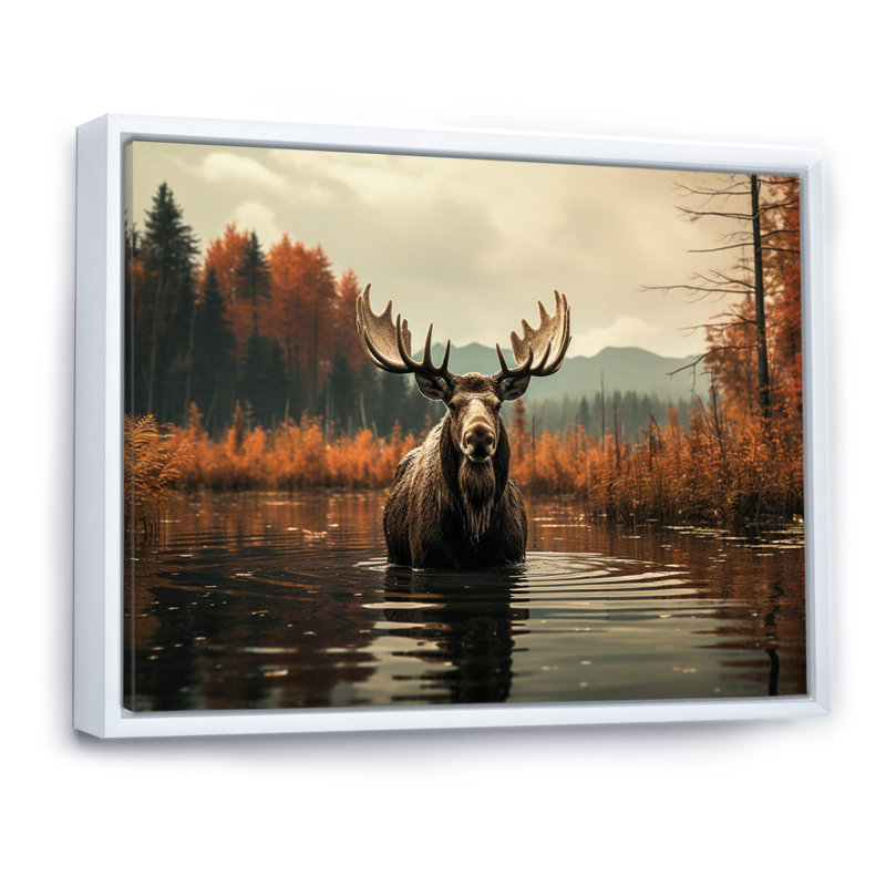 «Brown Orange Moose Autumn Palette», reproduction d'art sur toile, H 30 po x l 40 po, Cadre flottant blanc