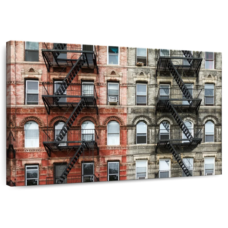 Lilie New York, H 8 po x l 12 po