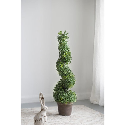 Topiaire de buis 36 po en pot