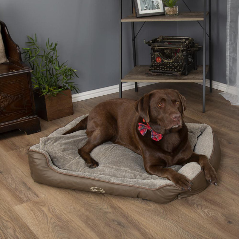 Chateau Orthopedic Polyester Pet Bed, Latte, 17cm H x 60cm W x 50cmD