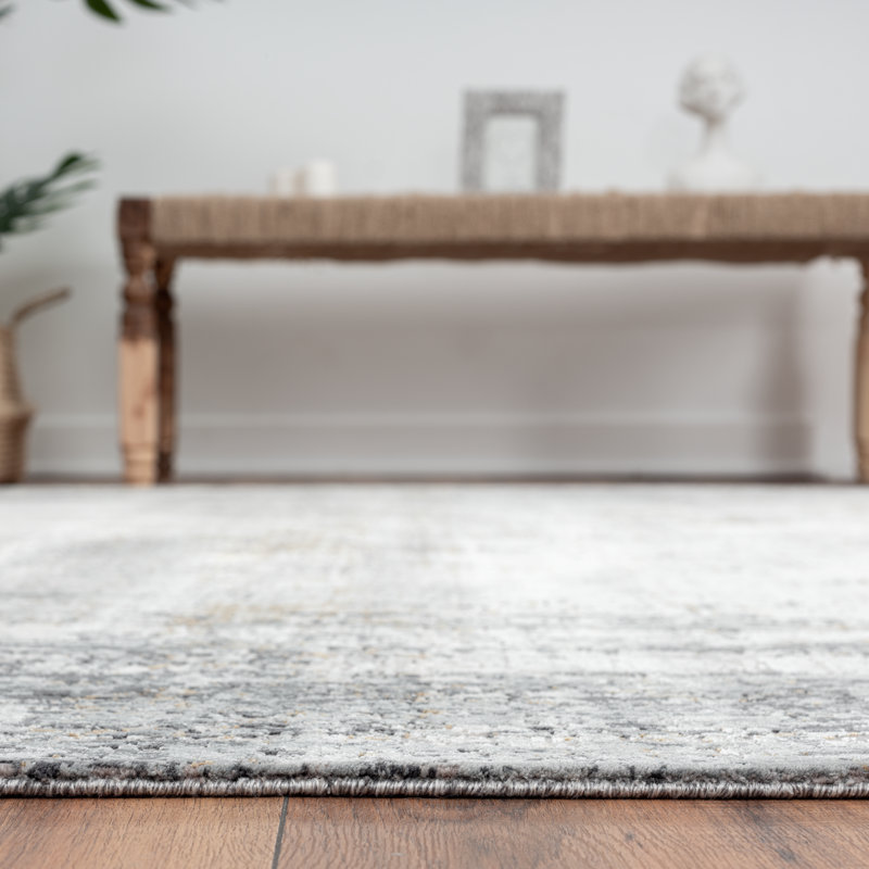 Evgenii Area Rug, Gray/White, Rectangle 7'9" x 9'9"