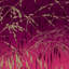 Floral Metallic Wallpaper Roll-1056889355