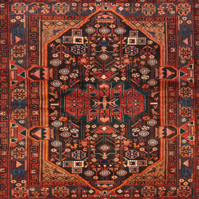 Oriental Indoor Rug