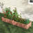 Arlmont & Co. Wooden Raised Garden Bed Outdoor Rectangular Planter Box With Drainage Holes