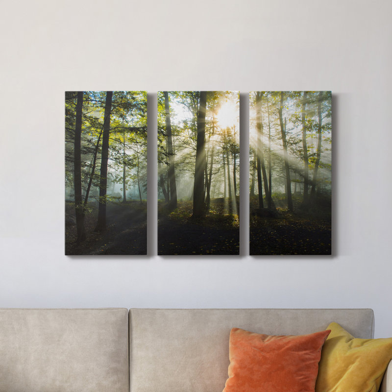 Lumière et arbres - ensemble de 3 photographies sur toile tendue, H 27 po x l 54 po x P 1 po