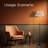 Theeran 60.6'' Powder Coated Novelty Floor Lamp
