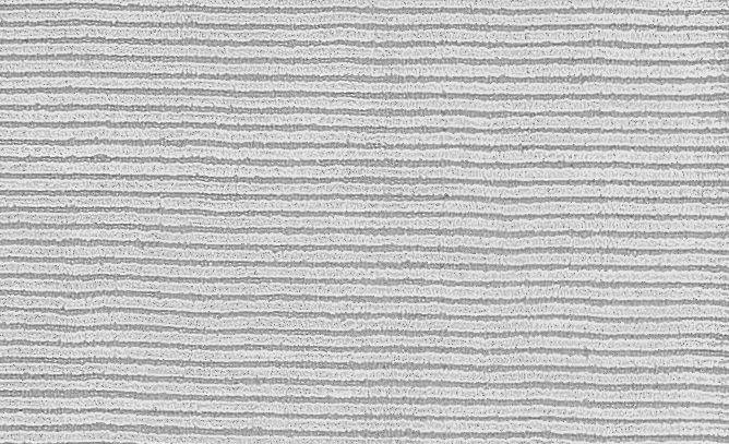 Hand-Knotted High-Quality Gray Area Rug