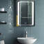 Rita Surface Mirrored Bathroom Cabinets and 3 Adjustable Shelves