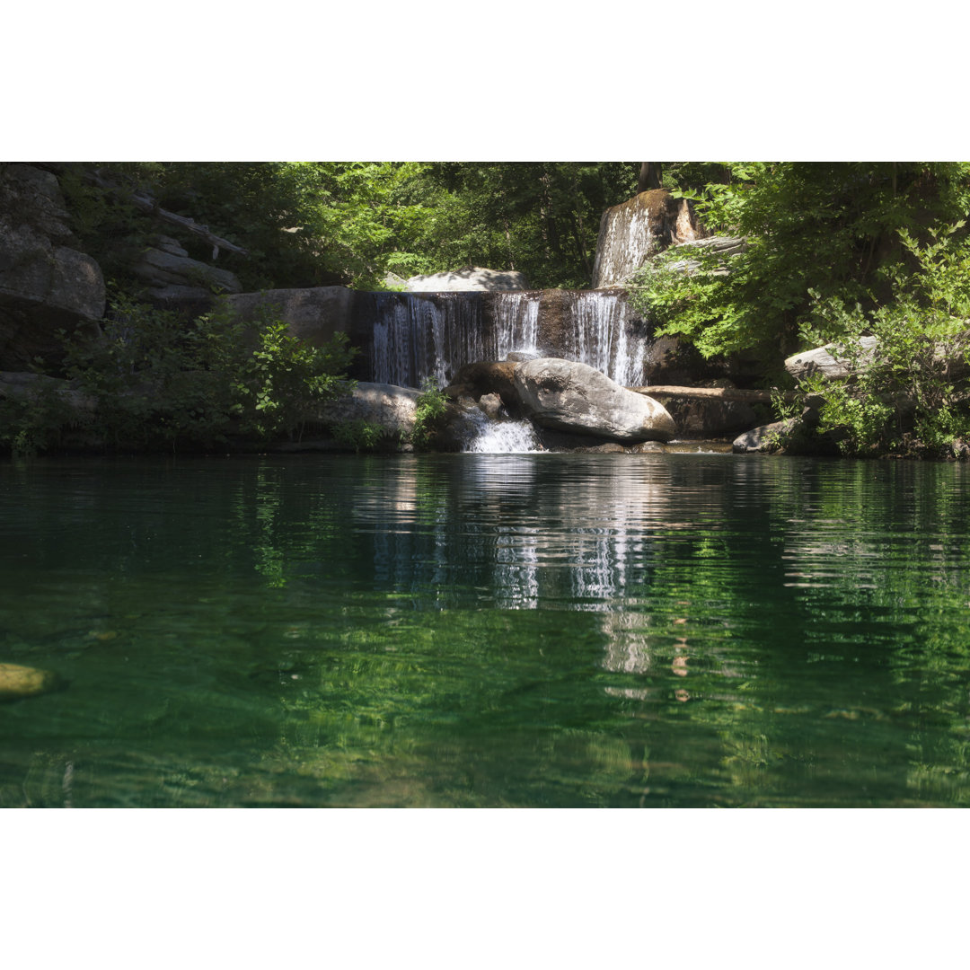 Paradies im Wald von Tunart - Kunstdrucke