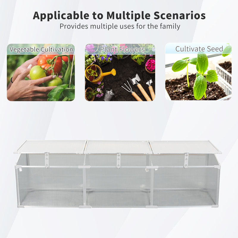 Serre en polycarbonate pour l'extérieur en hiver