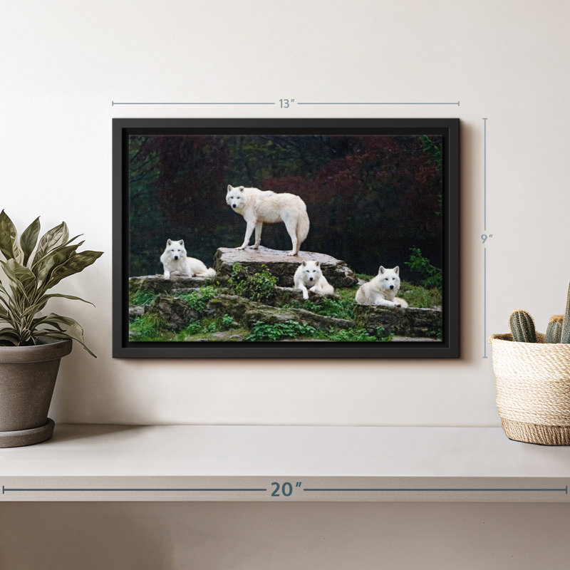 "Art loup arctique", H 9 po x l 13 po
