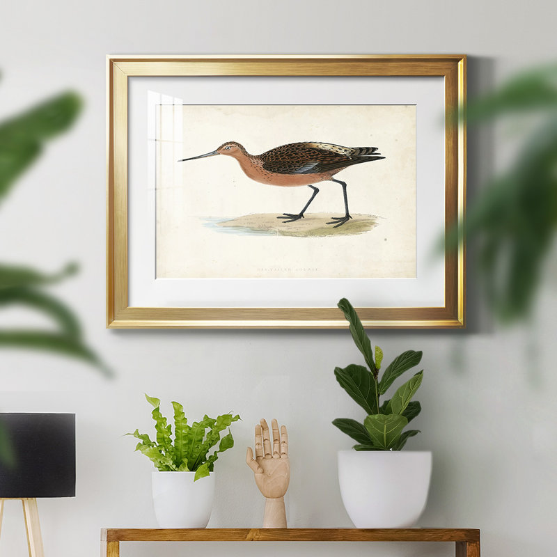 Morris Sandpipers II - reproduction de cadre photo, L 42,5 po x H 30,5 po, Or