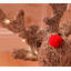 Christmas Decorative Accent