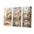 Toile tendue