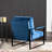 Mid-Century Modern Accent Chair, Durable Square Metal Frame, Plush Upholstery-1147878704