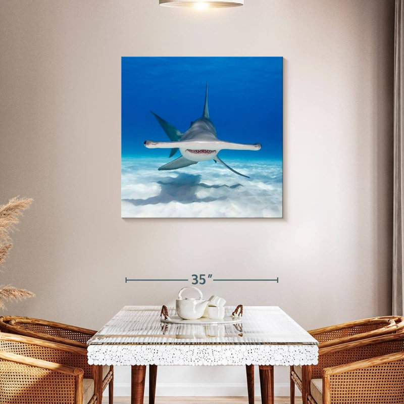 Albern Hammerhead Shark Swimming, 36" H x 36" W