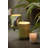 Parrot Party Scented Jar Candle