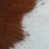 Hair Hide Brown/White selected