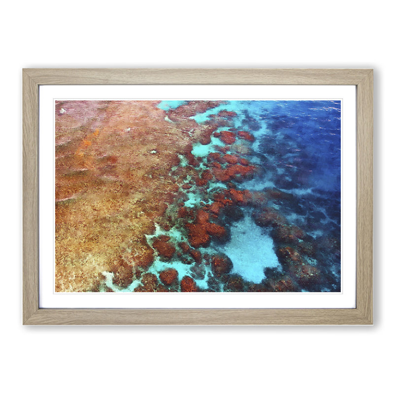 The Great Barrier Reef Coral - Picture Frame Graphic Art, Oak, 48cm H x 65cm W x 2cm D