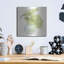 Brayden Studio «Plant Big Leaf III» par Chris Paschke-1681758795