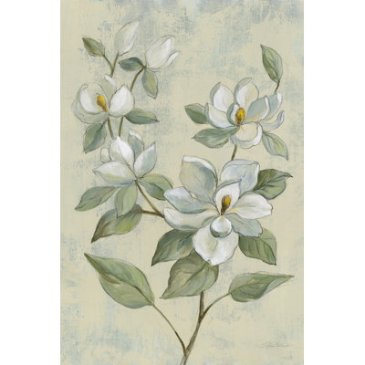 Sauge Magnolia