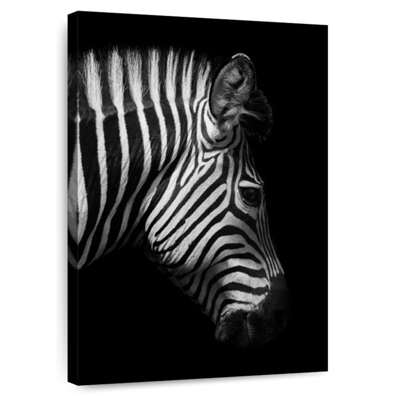 Brampt Zebra Side View, 12" H x 8" W