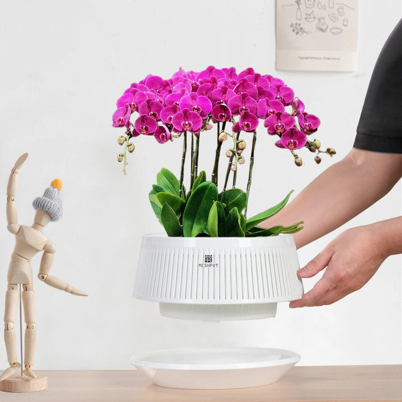 Pot d'orchidée meshpot avec trous ventilés 360 °, PP