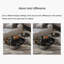 Buschwick-607286682