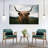 Open Field Highland Cow Canvas Print-1804220521