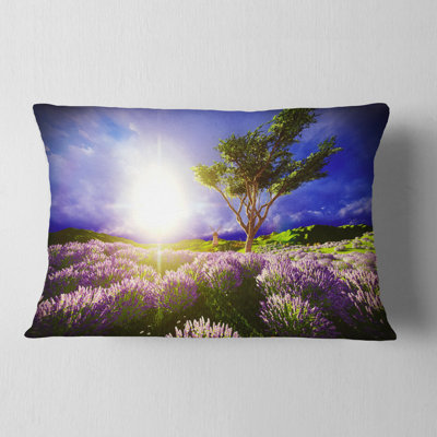 Coussin Lavande
