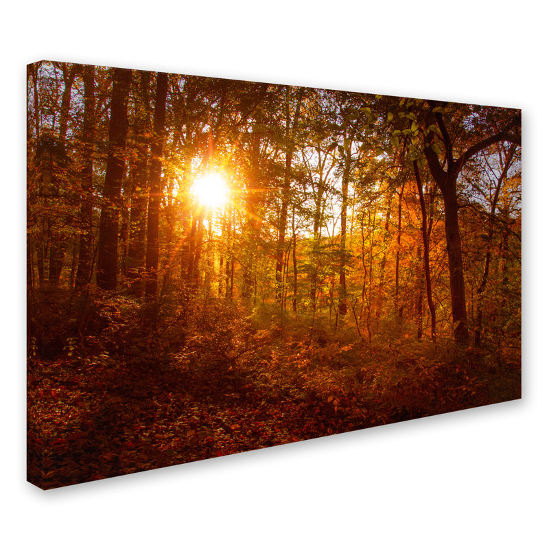 Autumn Sunset Landscape Gallery-Wrapped Canvas Art