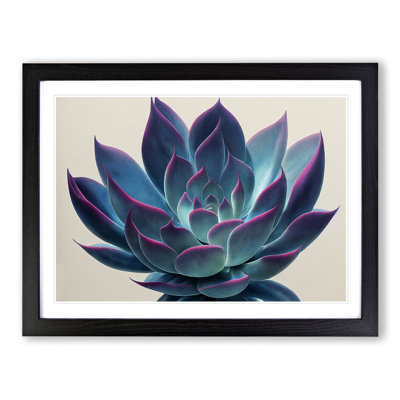 Watercolour Succulent Plant Vol.3 - Single Picture Frame Print