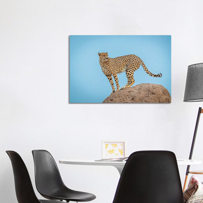 Cheetah In The Blue Hour by Jeffrey C. Sink - Wrapped Canvas Print