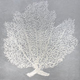 Seafan IX Print by L. Bodine