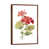 Classic Wood Framed selected