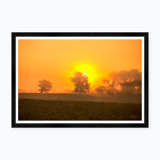 Meadow Sunrise IV Print by Tim Klein