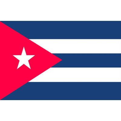 Double Sided 36'' H x 60'' W Nylon House Flag