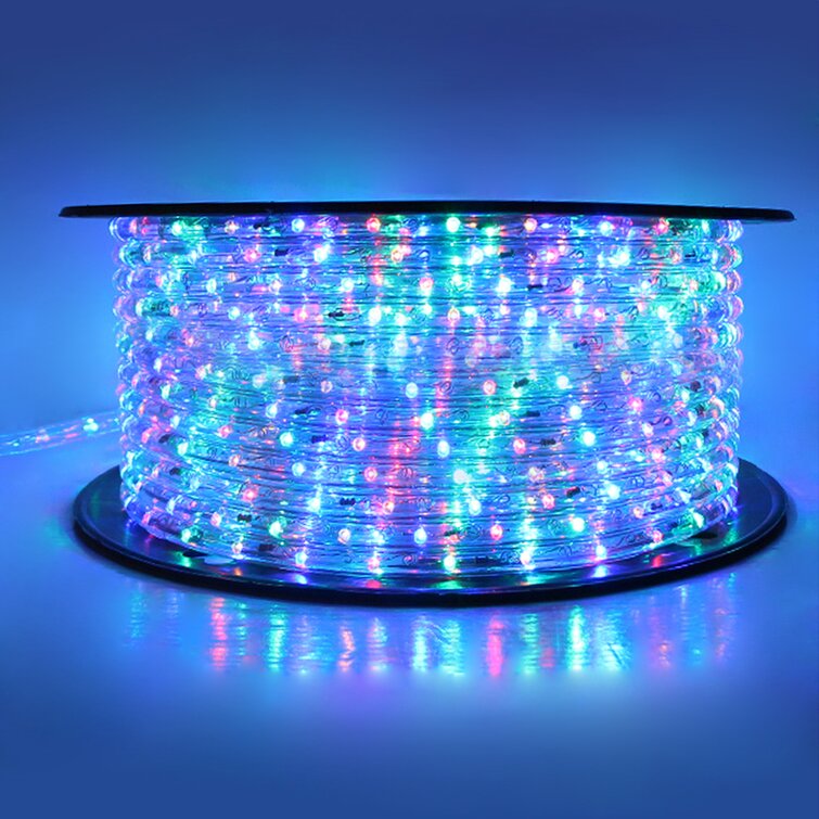 1080 Light Rope Lights The Holiday Aisle Color: Green/Pink/Purple Size: 1x22 H x 600x22 L x 1x22 D