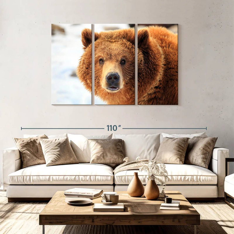 Regard d'ours grizzly, H 48 po x l 74 po