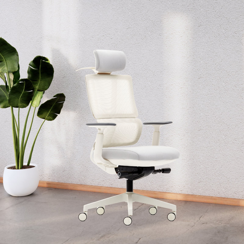 Fauteuil de gestion Duoflex