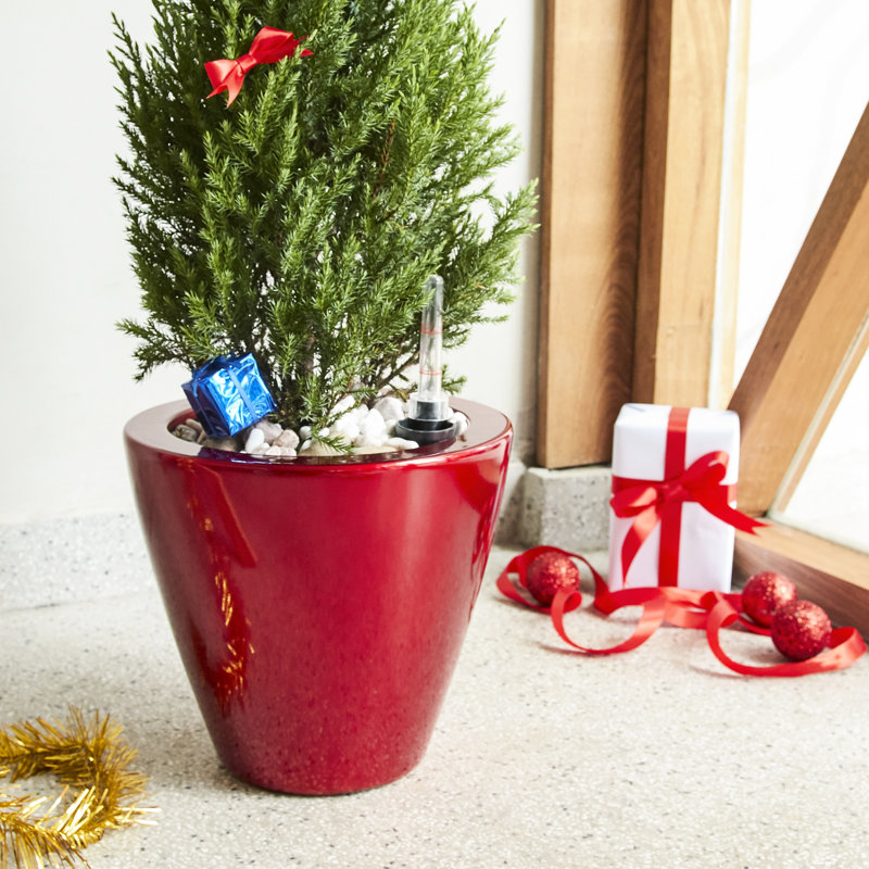 2 pots de fleurs coniques rouges à arrosage automatique - Idéal pour l'intérieur. Un cadeau parfait pour un anniversaire, la fête des pères ou la fête des mères. Un pot intelligent qui ravira les amateurs de plantes.