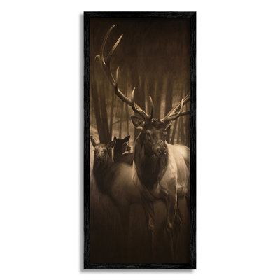 " Strong Buck And Woodland Deer Portrait Realistic Drawing " by Cole Johnson