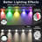 200FT Permanent Outdoor RGB Lights,Waterproof Smart LED Eaves Lights with App/Remote Control,for Christmas and All Holiday Decor,Daily and Accent Lighting,House Roof and Garden Lighting