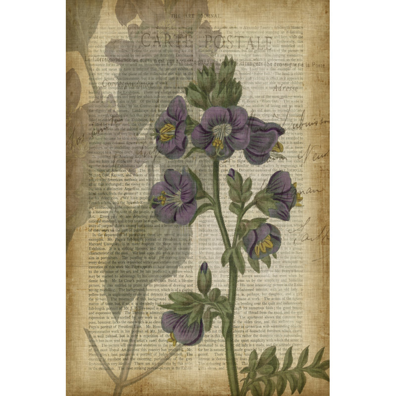 Fuchsia Flowers I by Studio W - Wrapped Canvas Memorabilia, 76cm H x 51cm W x 3.8cm D