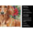 Red Brown Dachshund Christmas PoinsettIas Kitchen Towel-2080583705