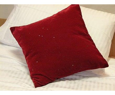 Square Cushion Cover