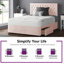 Urbank Divan Bed Base-953821341-1049799206-953821342
